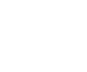 Artisanal Provisions Logo