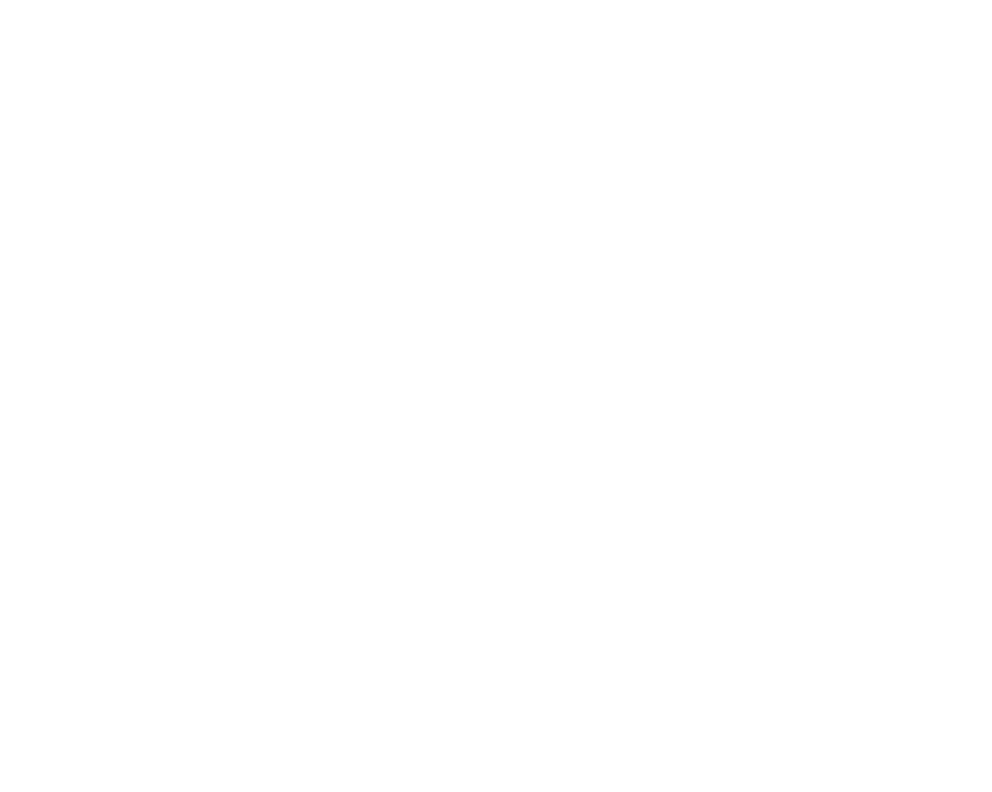 Artisanal Provisions Logo