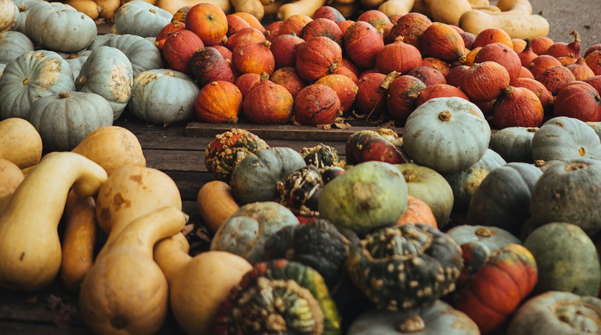 squash