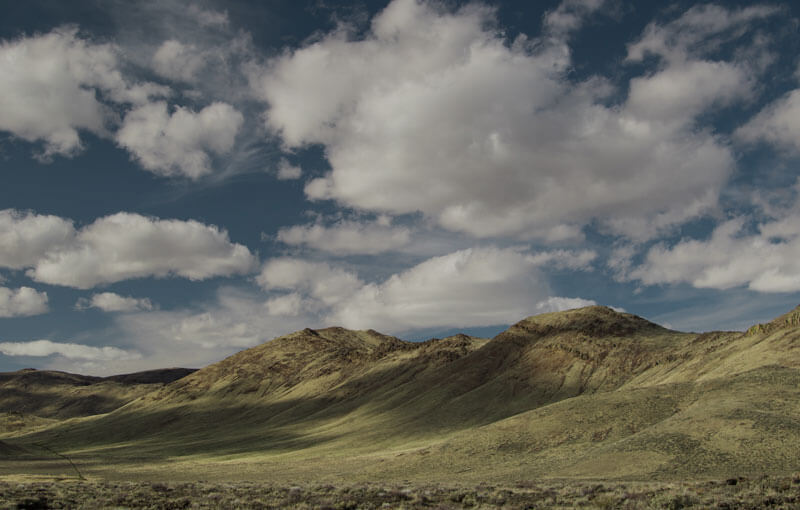 SoCal Landscape