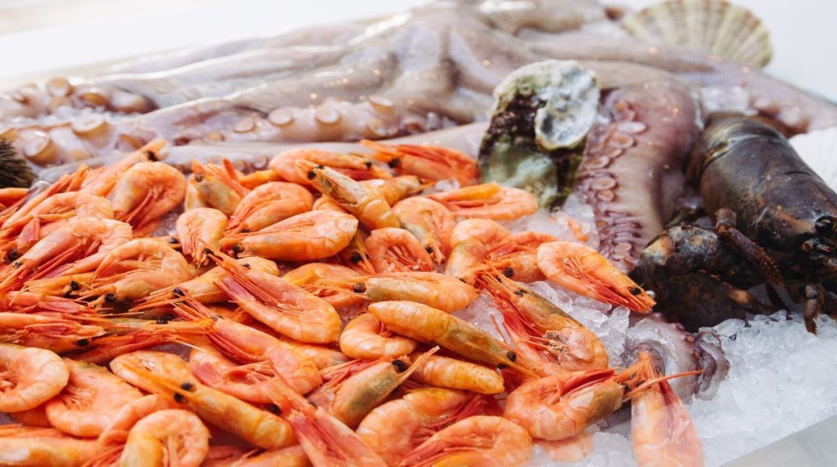 shrimp, sea food plate