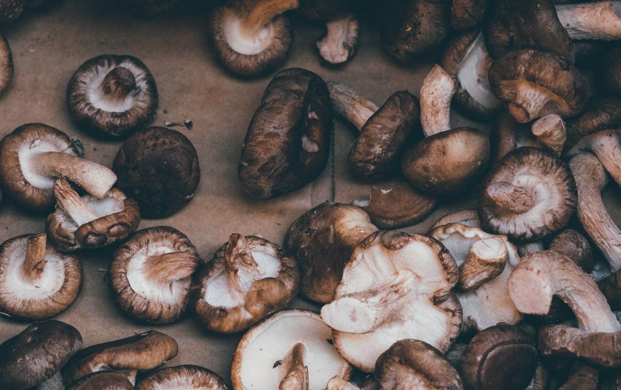 Mushroom Functional Food