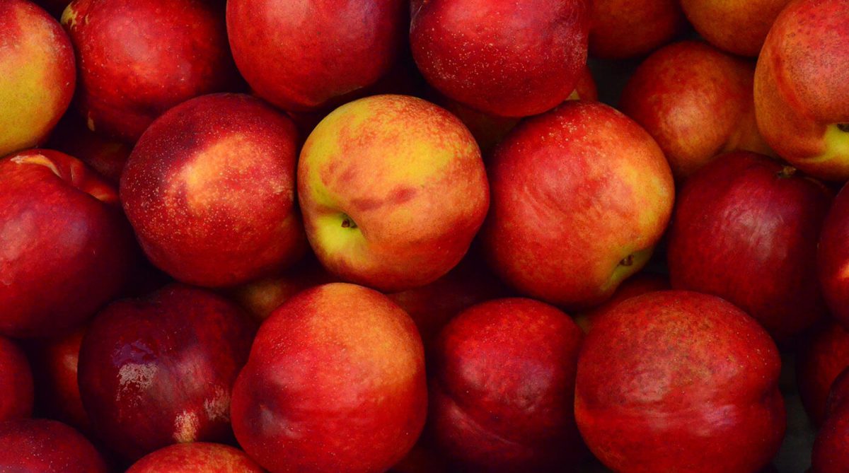 apples