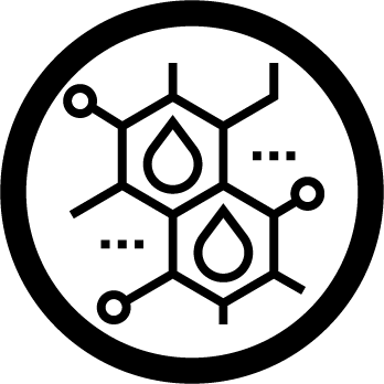 High Oleic Canola Oil