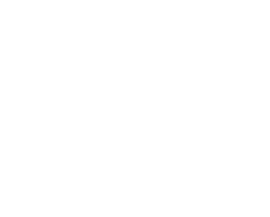 Shamrock CRAVE showcase logo