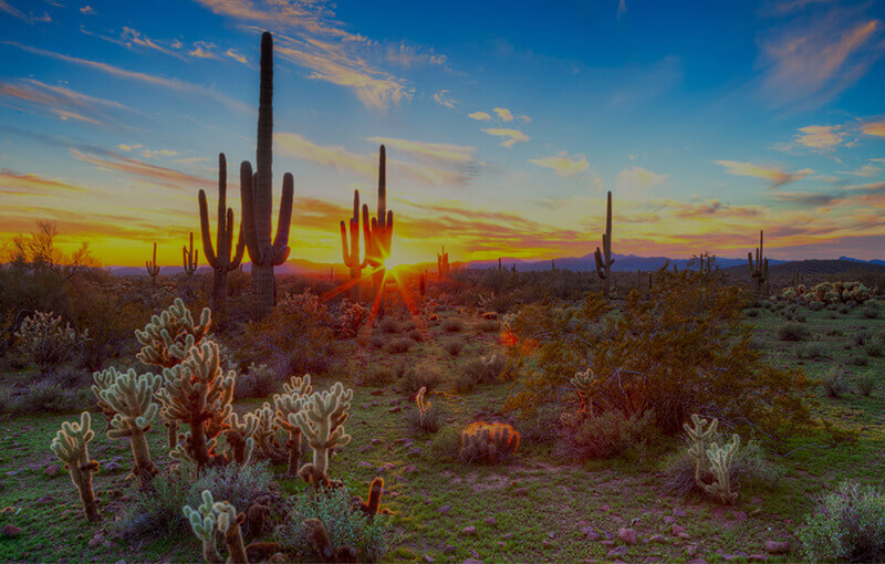 Arizona Landscape