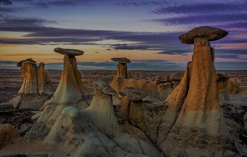 New Mexico Landscape